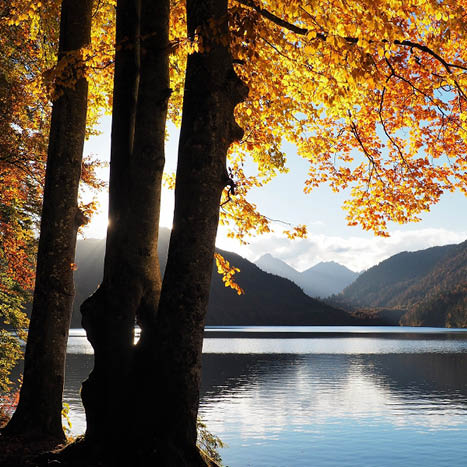 Balades virtuelles – séances de réalite virtuelle avec utilisation d’un casque RV – EHPAD du Prissé – Centre Hospitalier de la Côte Basque