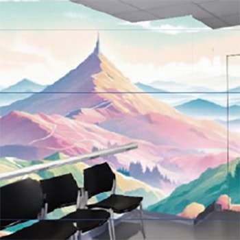 Création de fresques murales Service de court séjour gériatrique du Centre Hospitalier de la Côte Basque