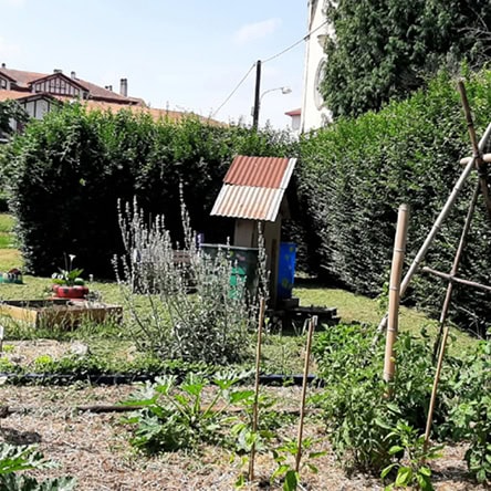 Un jardin thérapeutique pour les adolescents de l’Hôpital de Jour Odyssée au Centre Hospitalier de la Côte Basque