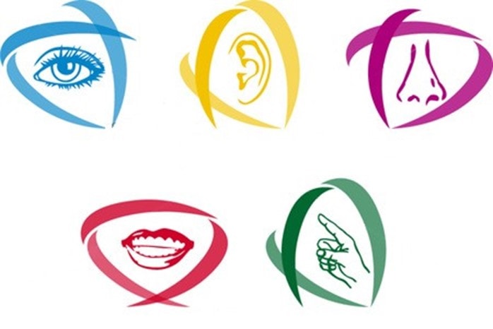 Programme d&rsquo;activités multi sensorielles autour des 5 sens à l&rsquo;USLD Arrayade